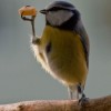 How to benefit for using twitter ?
